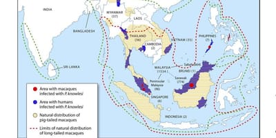 Karte von malaysia malaria